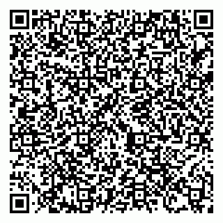 vCard 79100120380