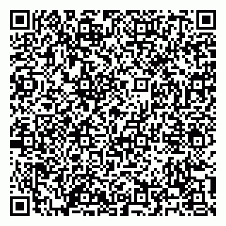 vCard 79100120381