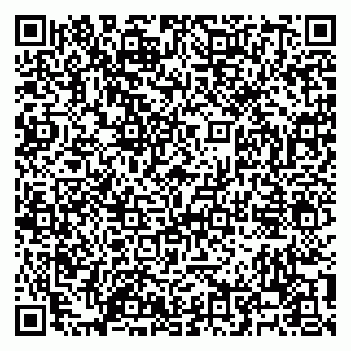 vCard 79100120384