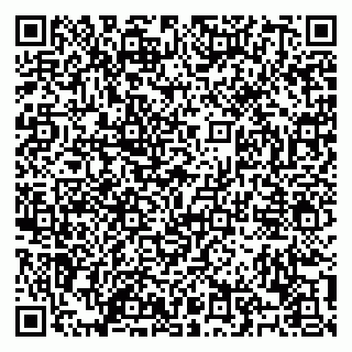 vCard 79100120385