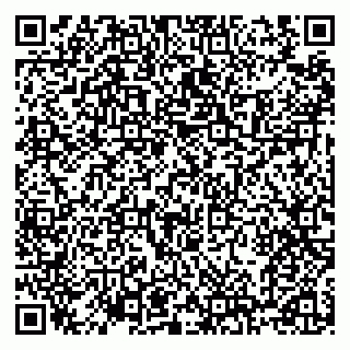 vCard 79100120387