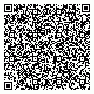 vCard 79100120393