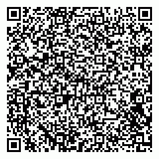 vCard 79100120399