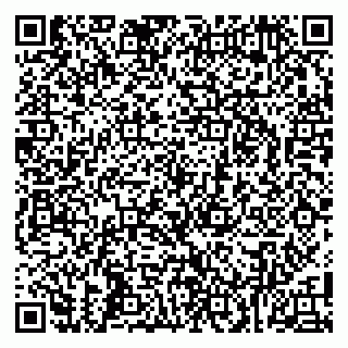 vCard 79100130239