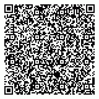 vCard 79100130249