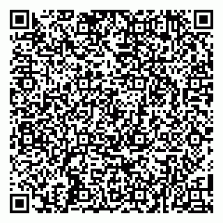 vCard 79100130271