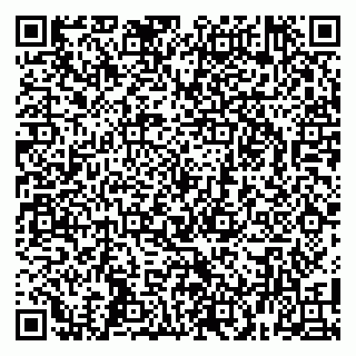 vCard 79100130293