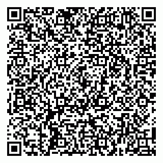 vCard 79100130294