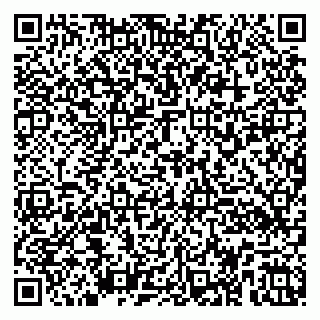 vCard 79100130331
