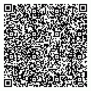 vCard 79100140173