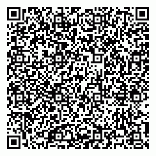vCard 79100140303