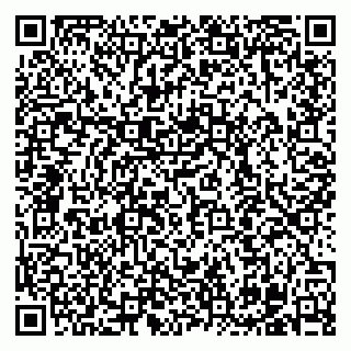 vCard 79100200539