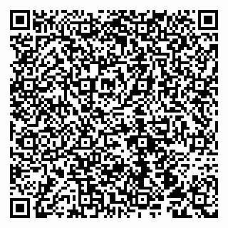 vCard 79100210011