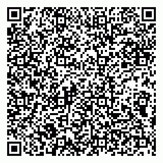vCard 79100210013