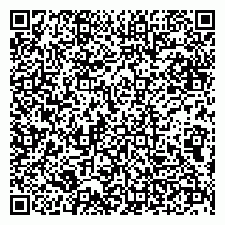 vCard 79100210029