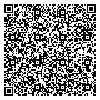 vCard 79100210031