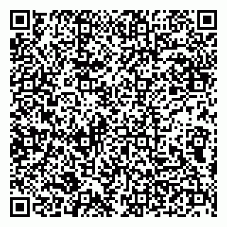 vCard 79100210033
