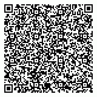 vCard 79100210037