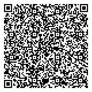 vCard 79100210040