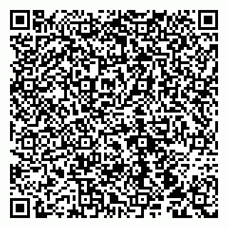 vCard 79100210053