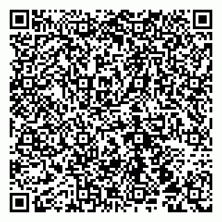 vCard 79100210063