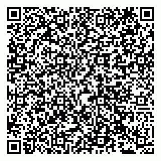 vCard 79100210080