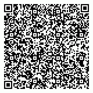 vCard 79100210085