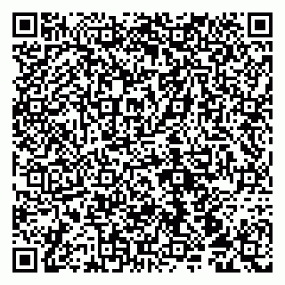 vCard 79100210098