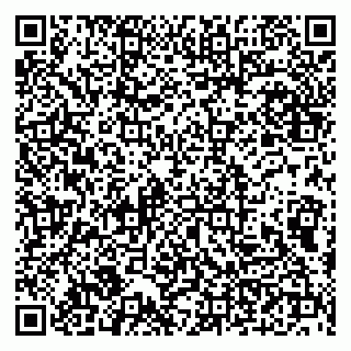 vCard 79100210100