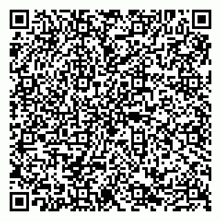 vCard 79100210131