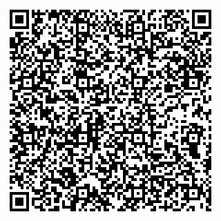 vCard 79100210133