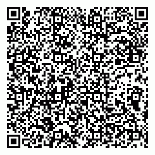 vCard 79100210176