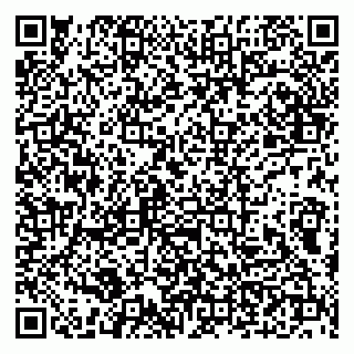 vCard 79100210197