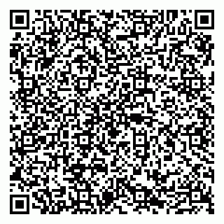 vCard 79100210251