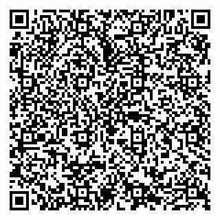 vCard 79100210259
