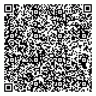 vCard 79100210262