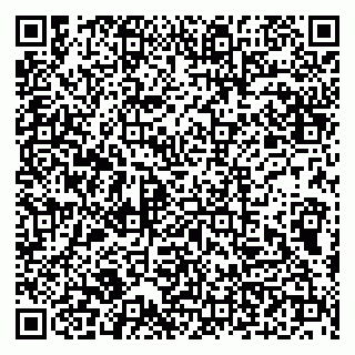 vCard 79100210271