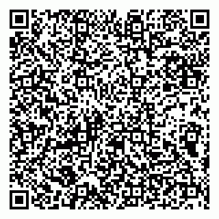 vCard 79100210272