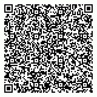 vCard 79100210273