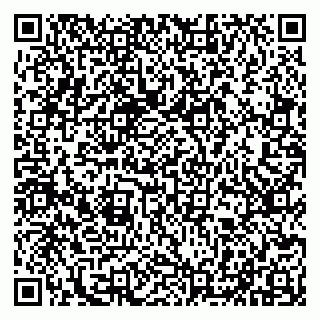 vCard 79100210274