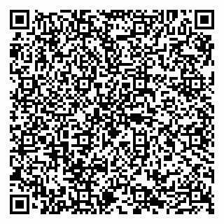vCard 79100210275