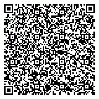 vCard 79100210286