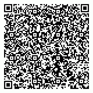 vCard 79100210287