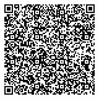 vCard 79100210289