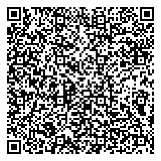 vCard 79100210293