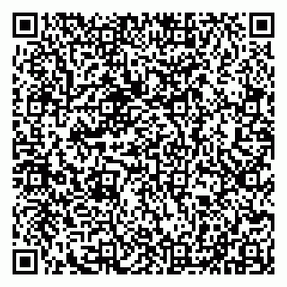 vCard 79100210294