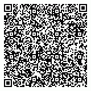 vCard 79100210295