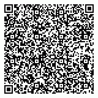 vCard 79100210296