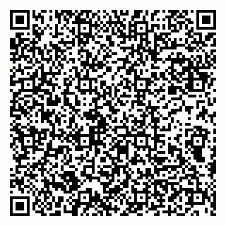 vCard 79100210298