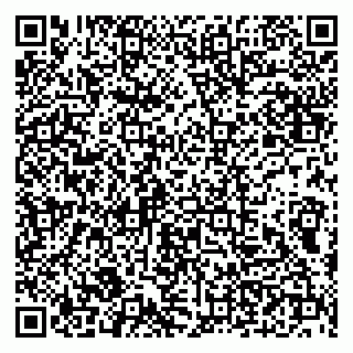 vCard 79100210299